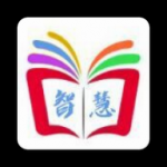 智慧小说