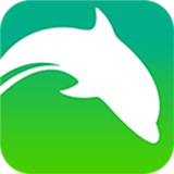 dh浏览器国际版下载安装
