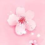 樱花视频电视剧大全播放