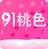 91轻量版链接