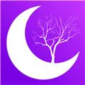 月光宝盒正版下载免费视频