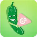 免费真人动作片直播app免费版