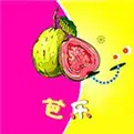 芭乐视视频下载页面